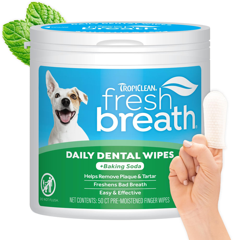 Lingettes dentaires TropiClean pour chiens en action, haleine plus fraîche.