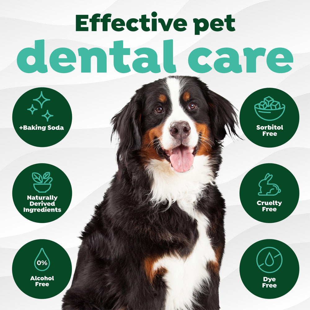 Gencives et dents des chiens couvertes par les lingettes TropiClean.