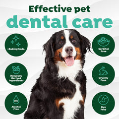 Gencives et dents des chiens couvertes par les lingettes TropiClean.