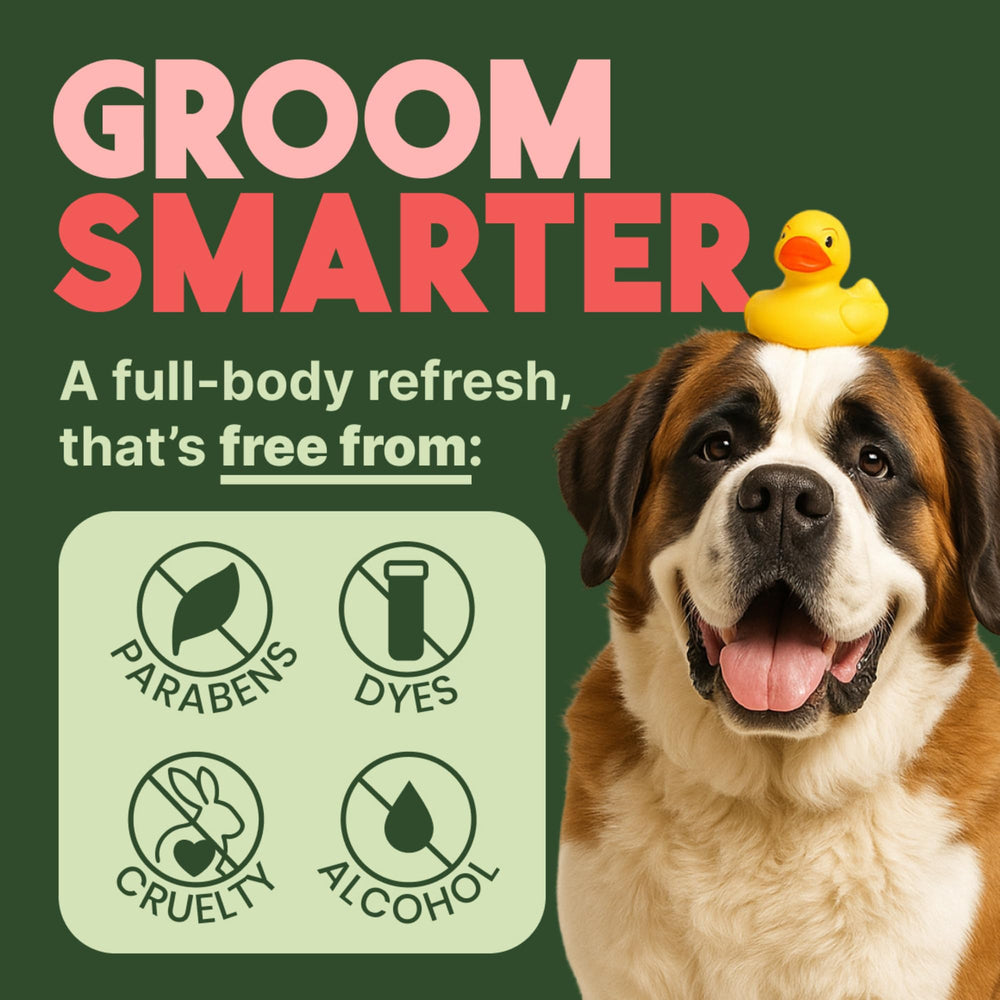 Lingettes TropiClean utilisation rapide au quotidien sur chiens et chats.