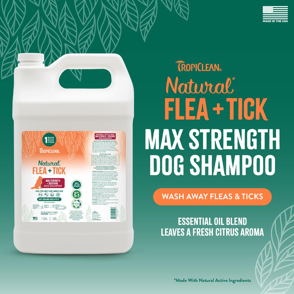 TropiClean Max Strength, mousse généreuse sur le pelage du chien pendant le lavage.