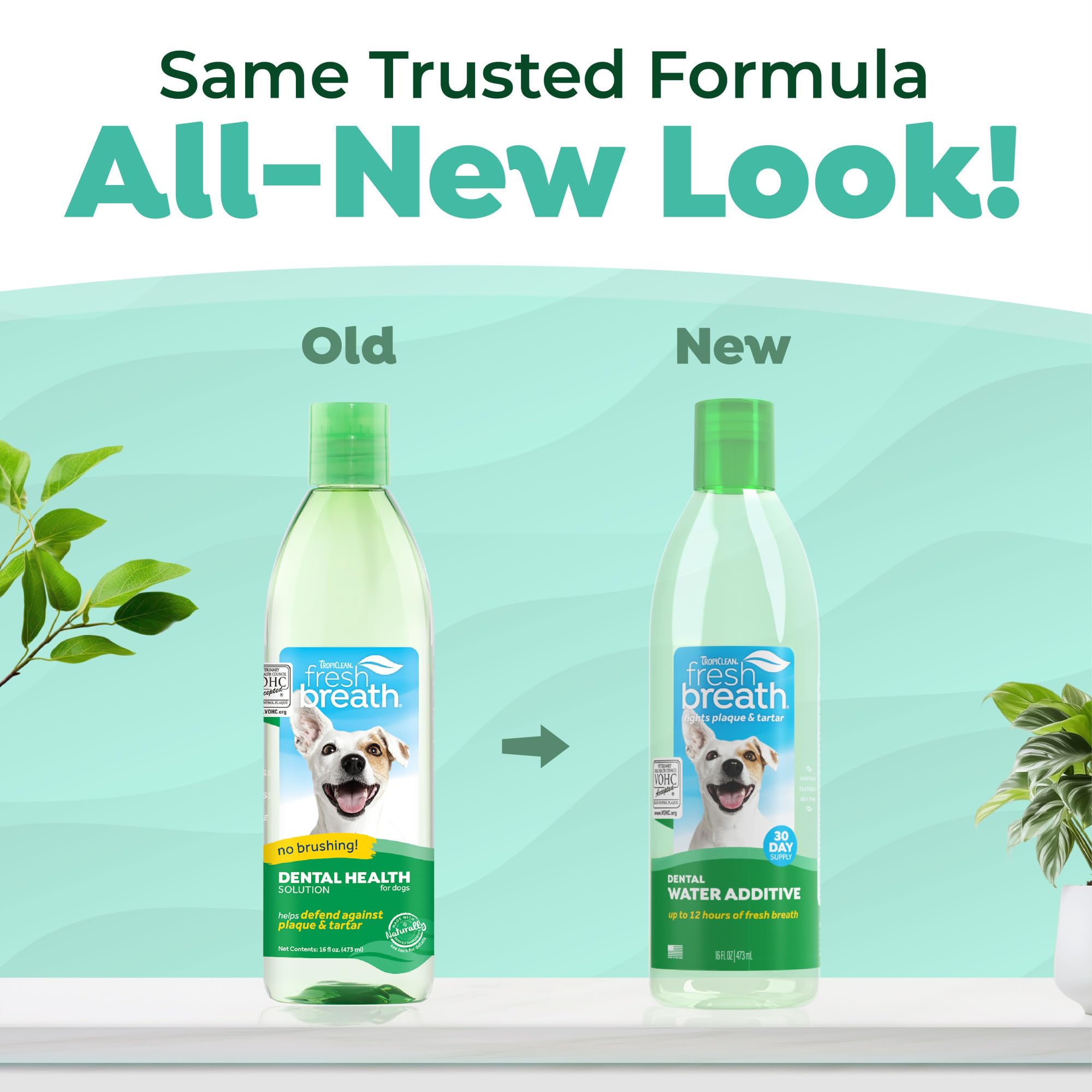TropiClean Fresh Breath: additif eau pour dents et gencives.