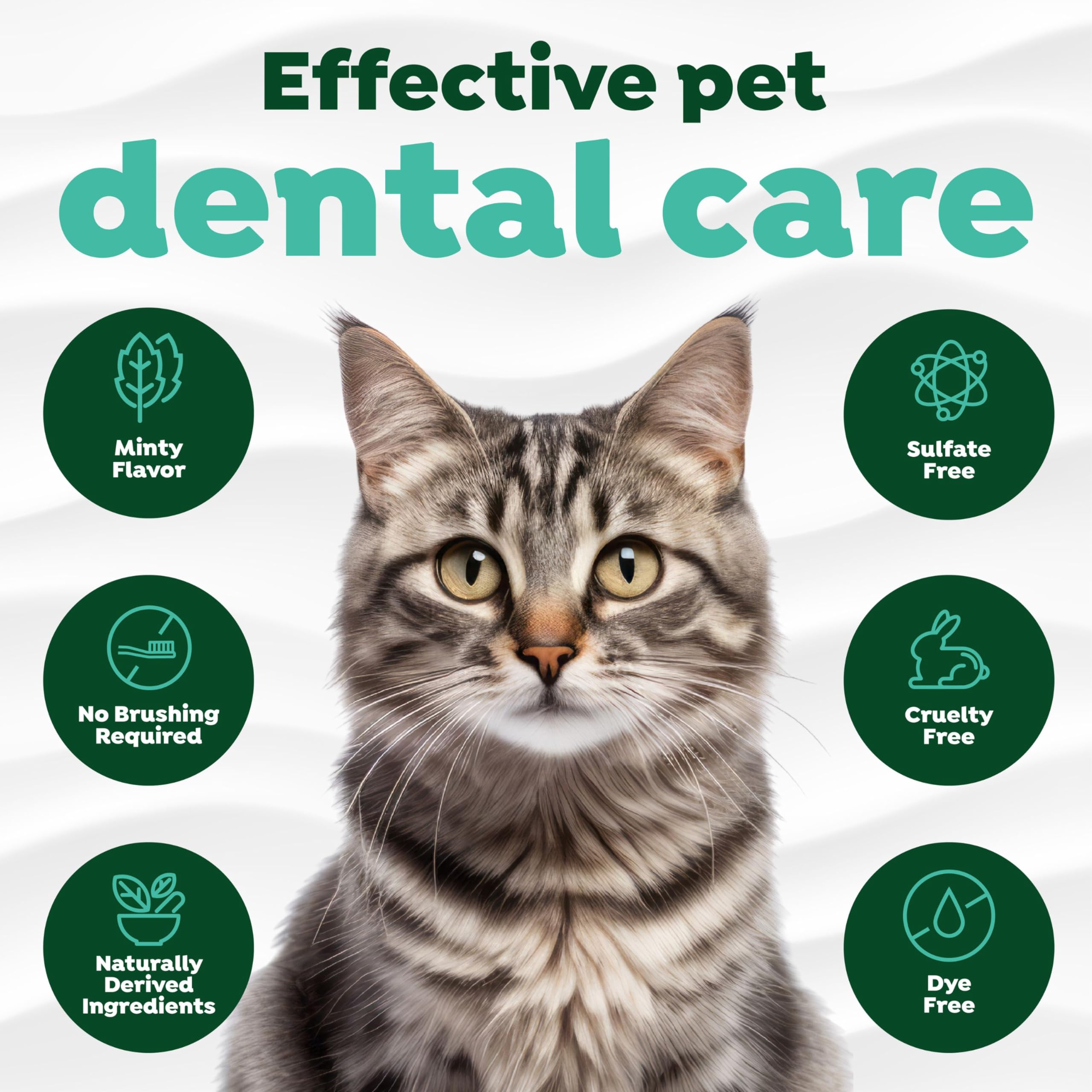 TropiClean nettoyage des plaques chat, dents plus propres.