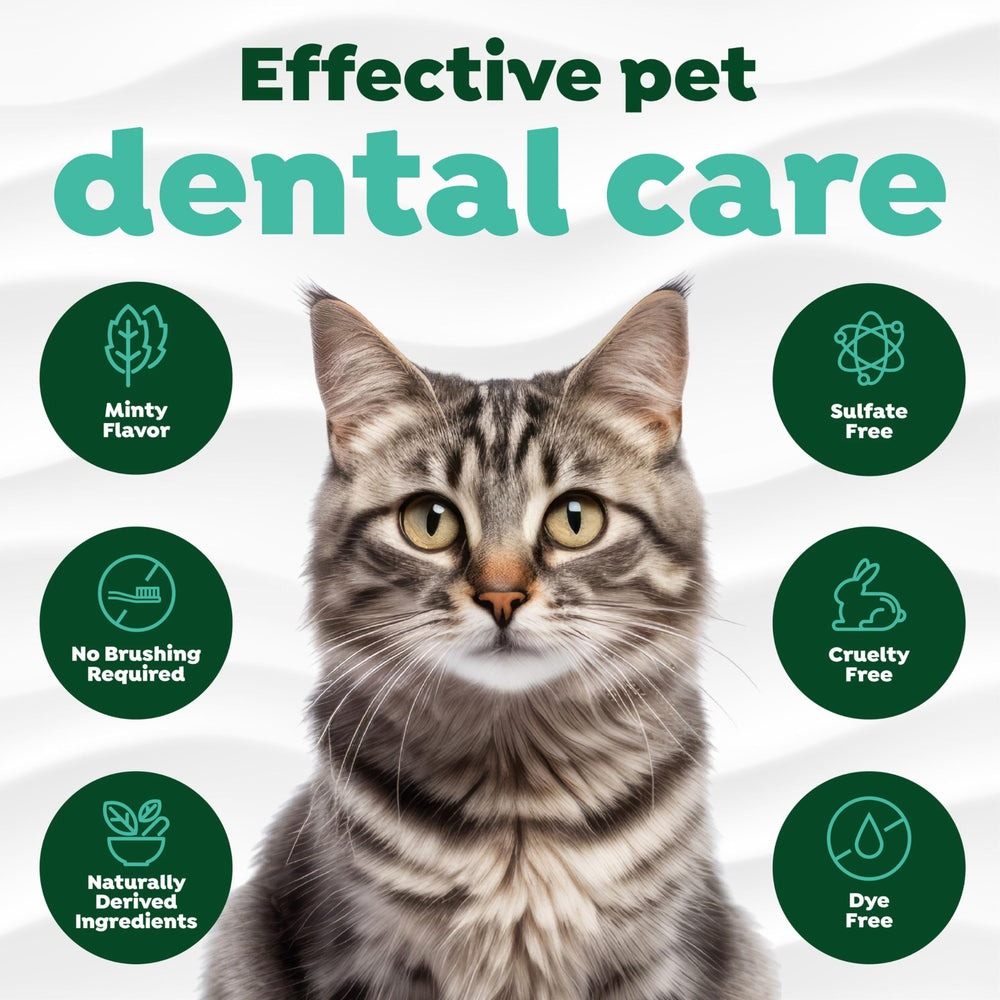 TropiClean nettoyage des plaques chat, dents plus propres.
