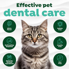 TropiClean nettoyage des plaques chat, dents plus propres.
