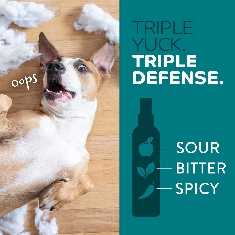 TropiClean No Chew Spray – arôme citronné pour décourager les comportements indésirables.