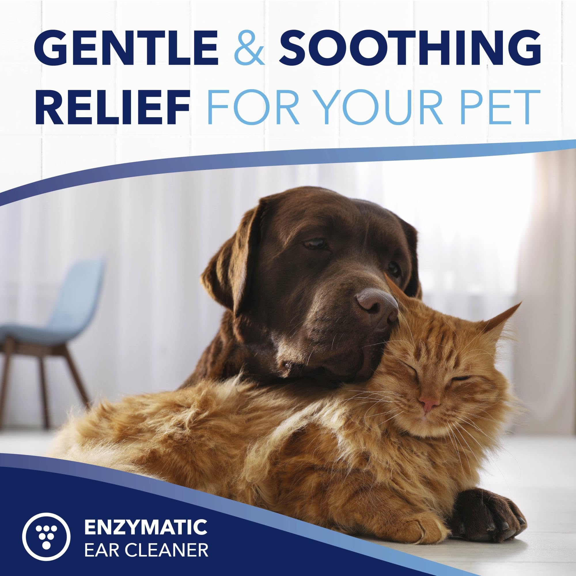 TropiClean OxyMed: sûr pour les oreilles des chats