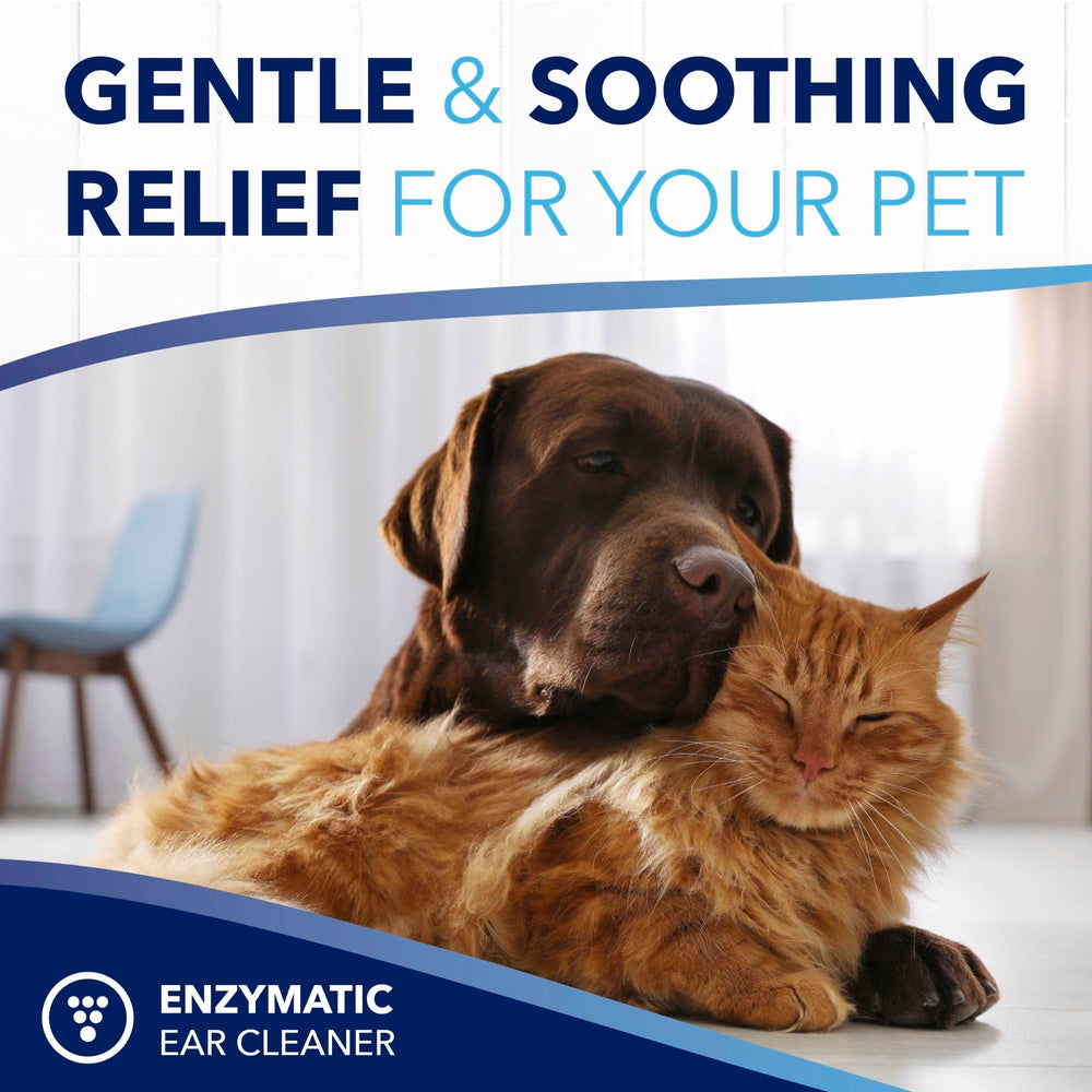 TropiClean OxyMed: sûr pour les oreilles des chats