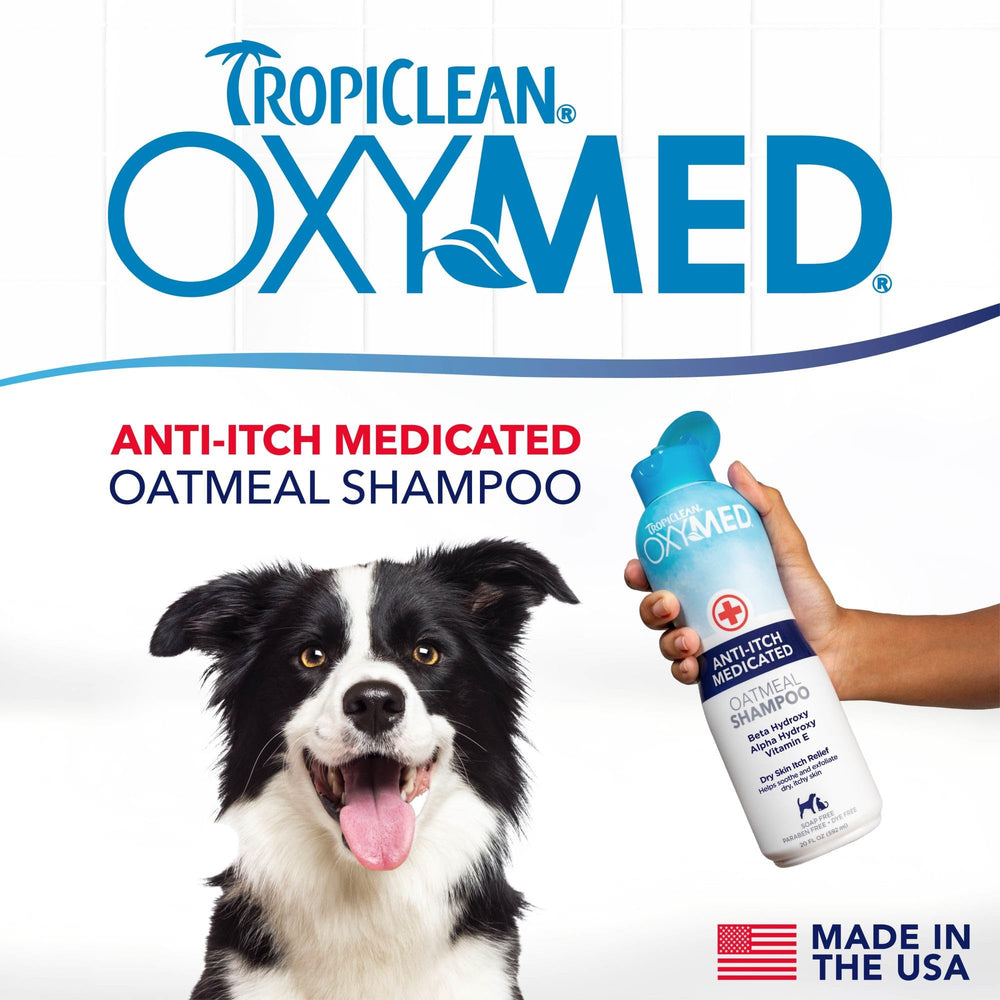 TropiClean Oxymed – mousse douce à l’avoine pour calmer les irritations.