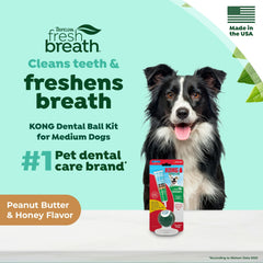 TropiClean pâte dentifrice beurre d'arachide miel, goût apprécié par les chiens.