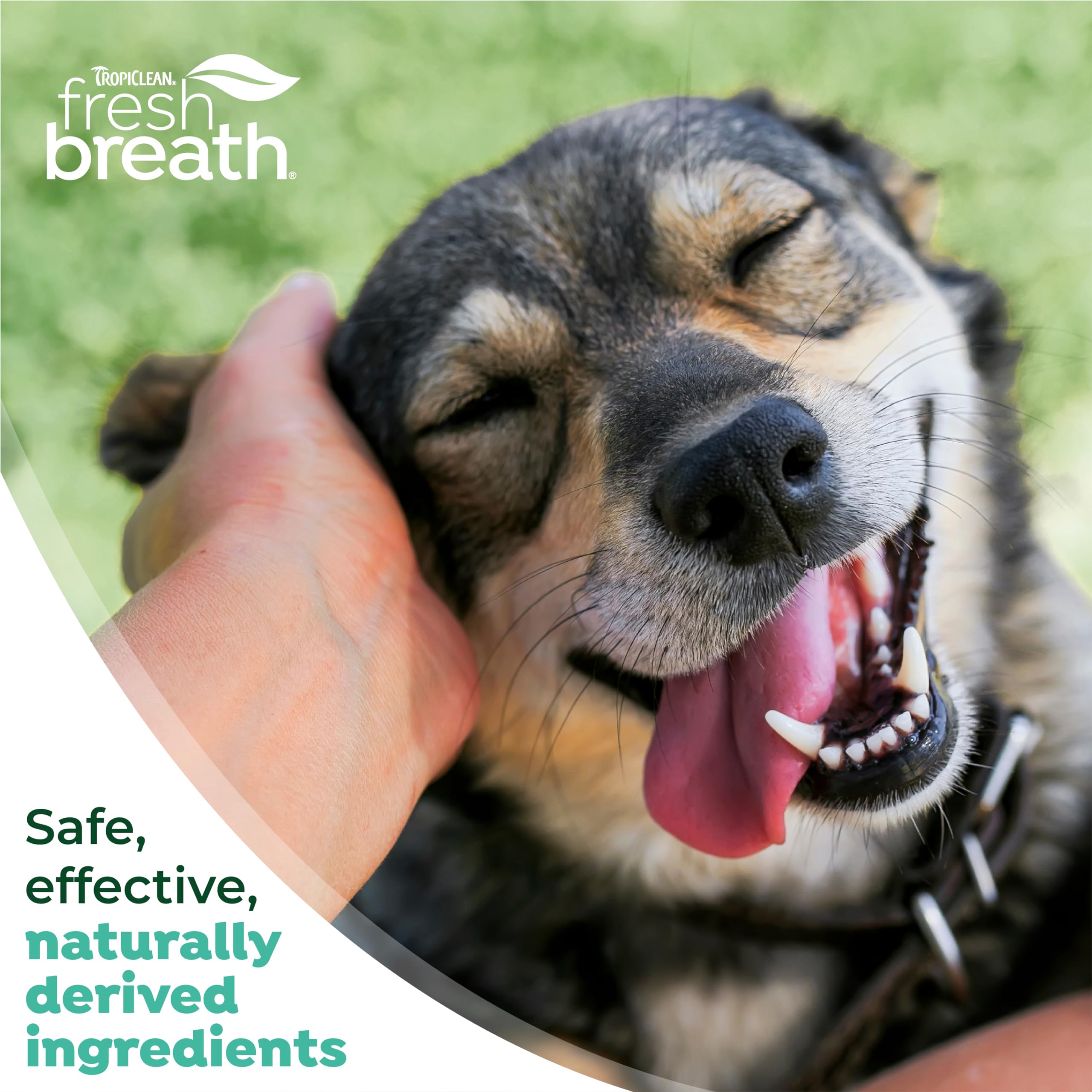 TropiClean sante-bouche-chien-usage-regulier, bouche saine et bien-être.