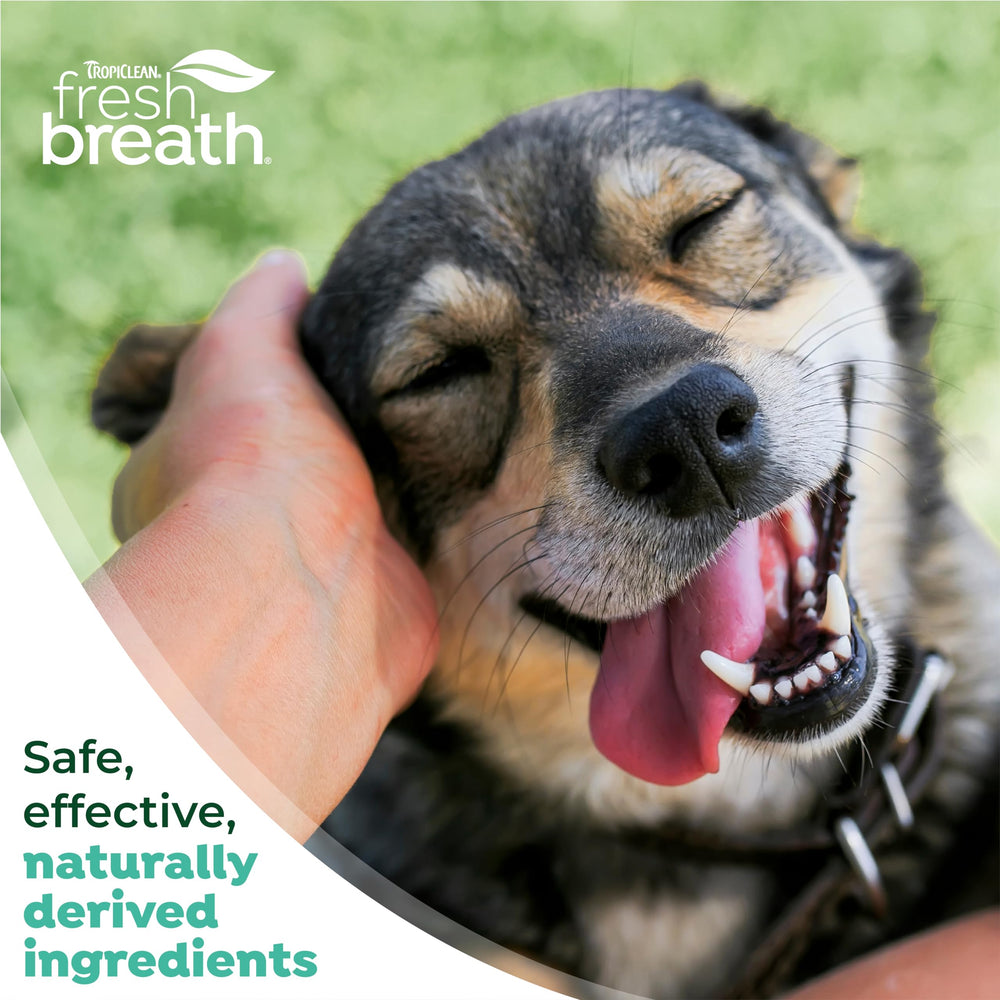 TropiClean sante-bouche-chien-usage-regulier, bouche saine et bien-être.