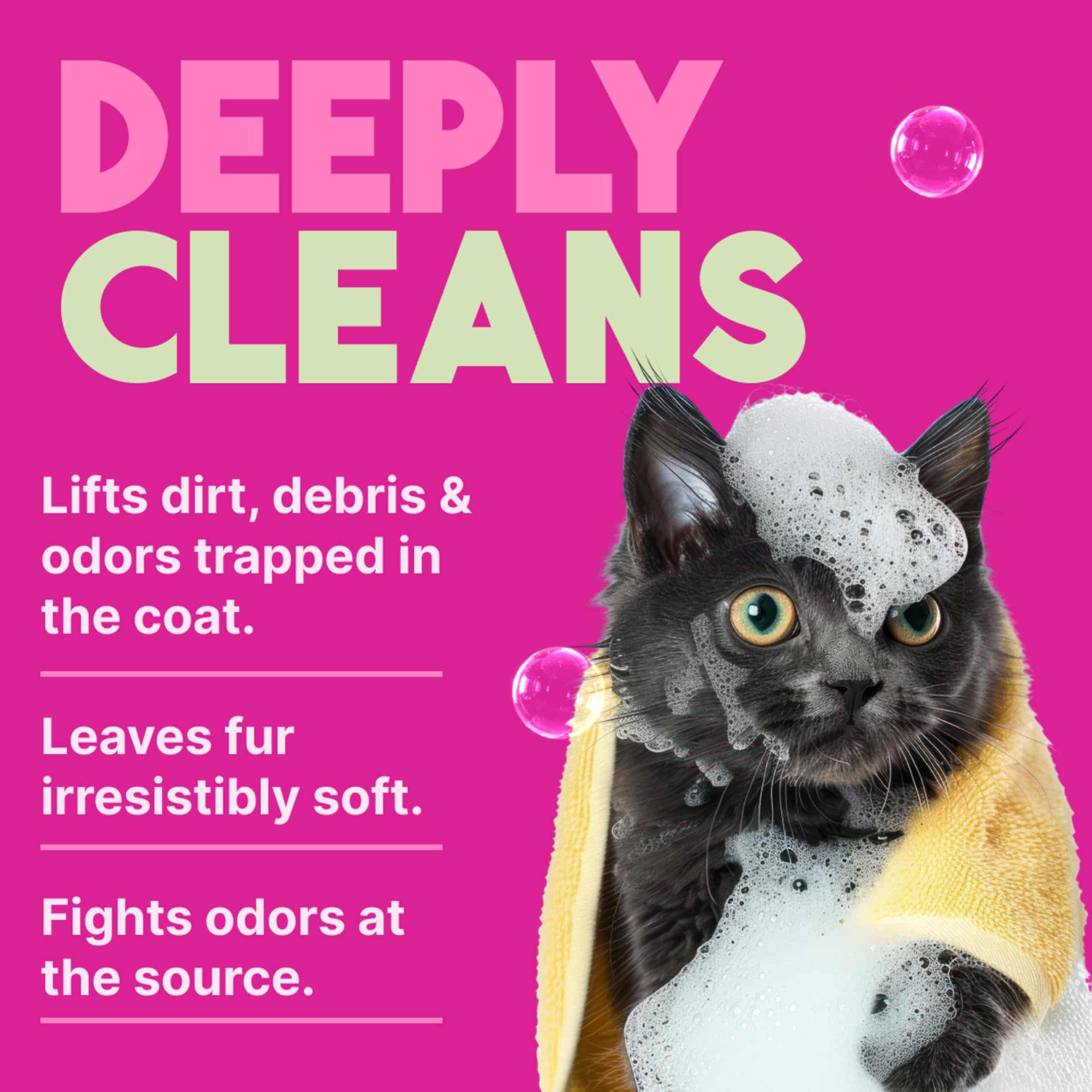 Pelage doux obtenu avec le Shampoing Déodorisant TropiClean pour Chats.
