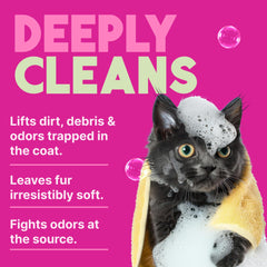 Pelage doux obtenu avec le Shampoing Déodorisant TropiClean pour Chats.