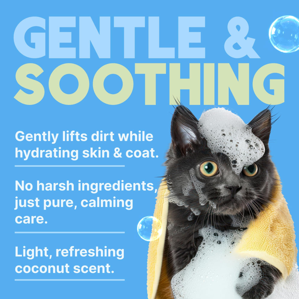 TropiClean Shampoing Doux pour chaton et chat, parfum coco discret