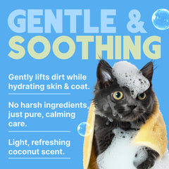 TropiClean Shampoing Doux pour chaton et chat, parfum coco discret