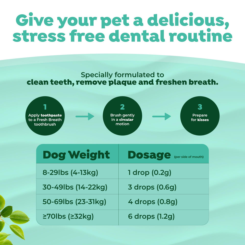 TropiClean Haleine Fraîche – texture crème facilitant le nettoyage des dents.