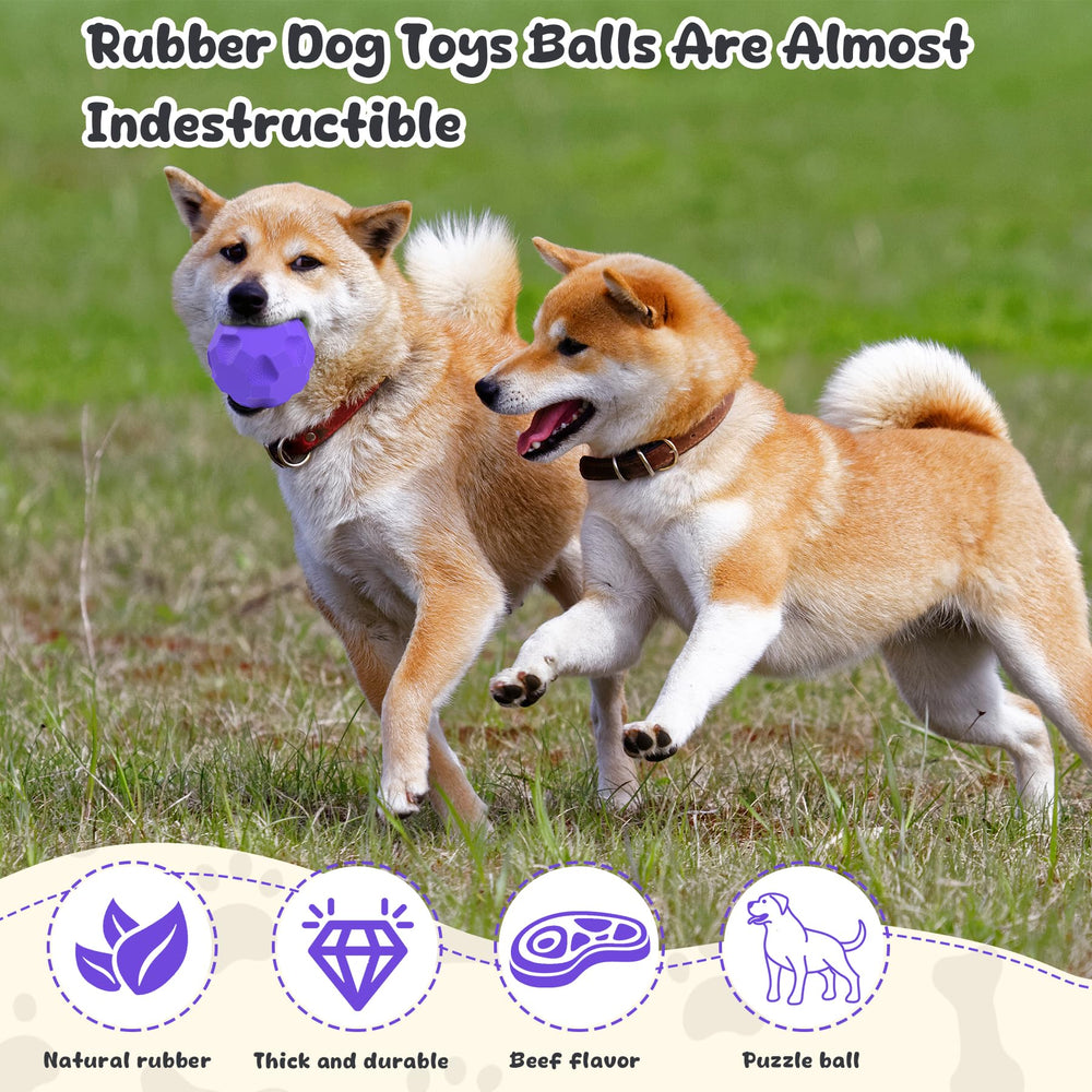 TROUSKAIG Boules interactives – enrichissement mental et lien maître-chien