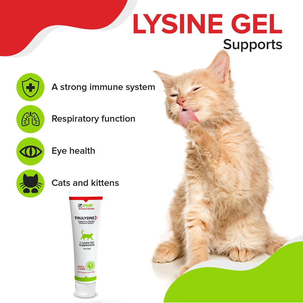 Saveur érable Trulysine Lysine Gel pour chat, administration agréable et savoureuse.