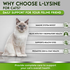 Doseur pratique pour Trulysine chat, administration simplifiée.