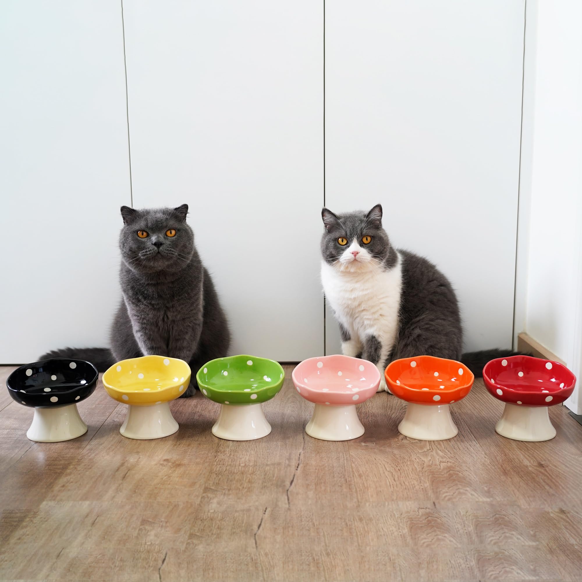 Bol TRUNDISAN convivial pour chats et chiots, pratique au quotidien.