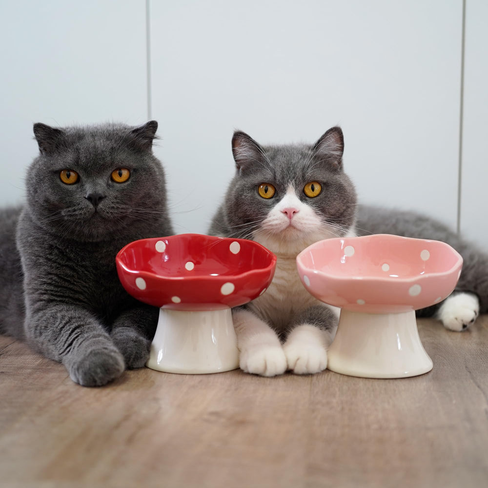 Bol TRUNDISAN utilisation quotidienne pour chats et petits chiens.