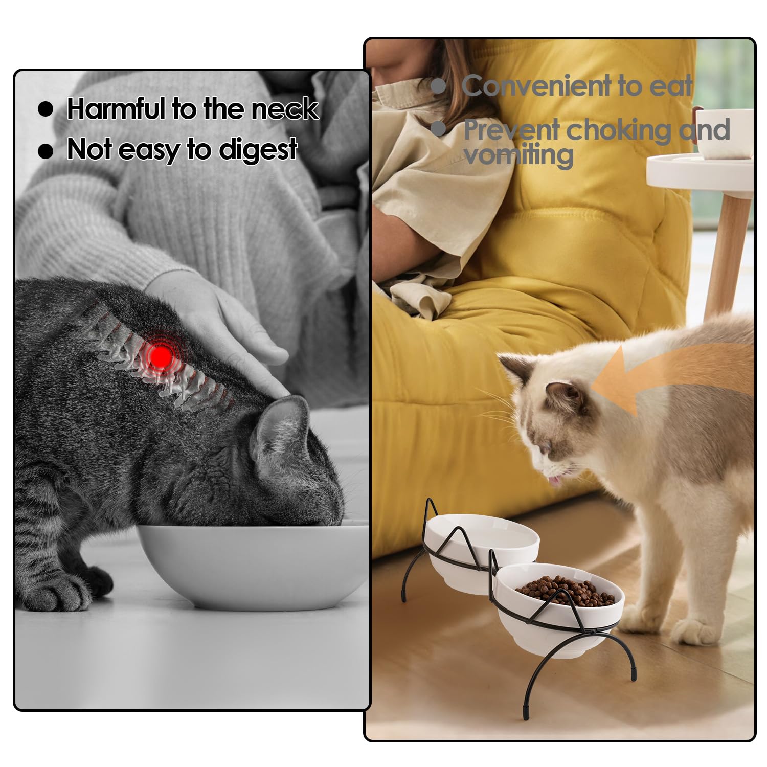 TRUNDISAN ensemble nourriture et eau chat design pratique pour usage quotidien