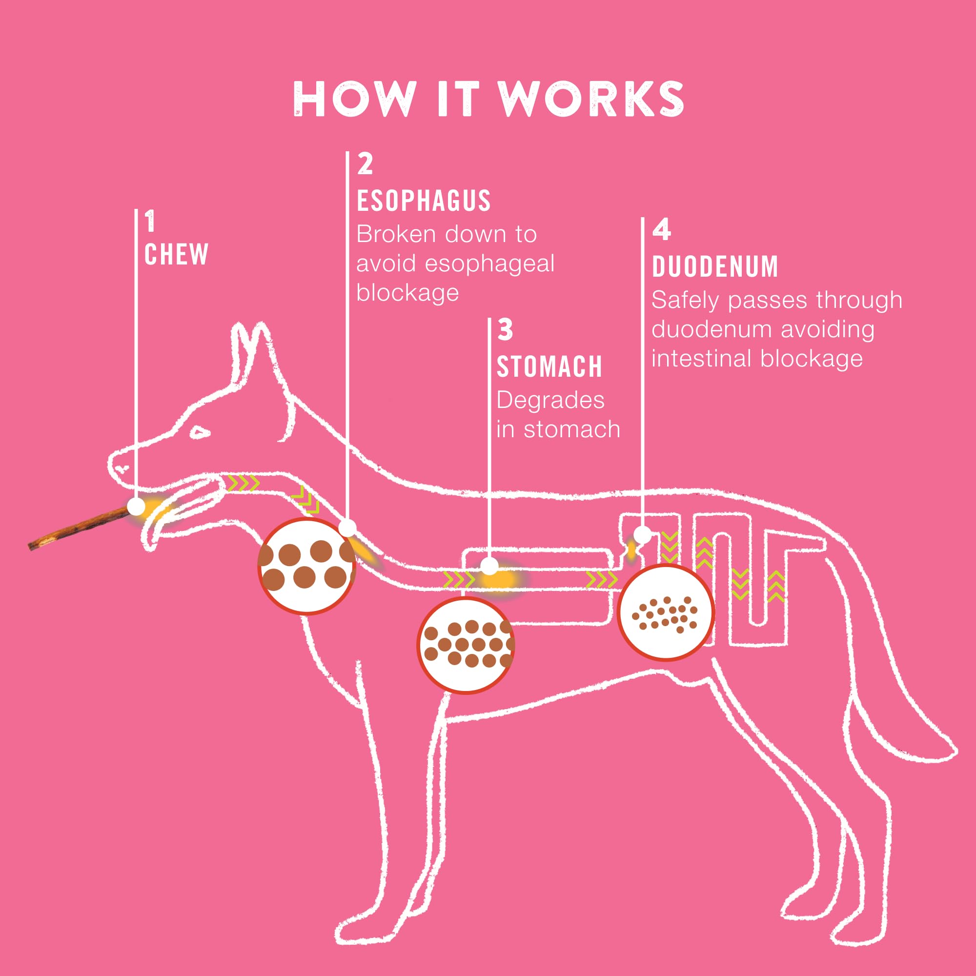 TRURANCH aide potentielle au nettoyage des dents lors de la mastication.