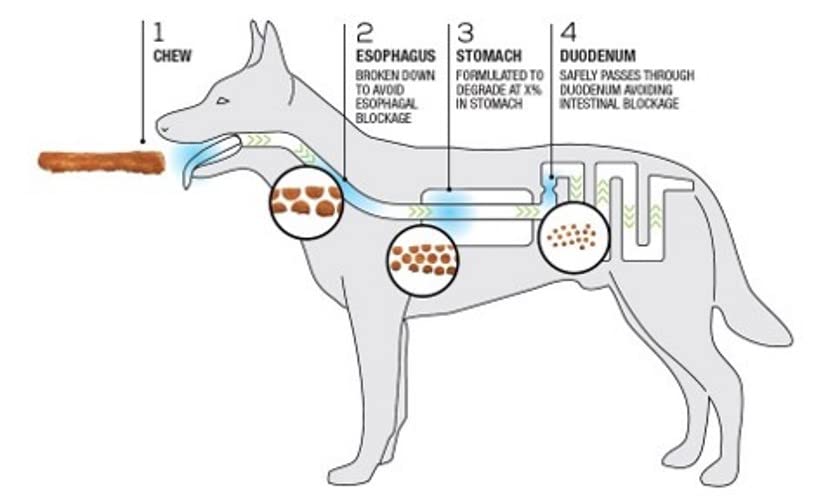 TRURANCH chien mordillant bâton peau de porc fumé, plaisir sain pour chiens.