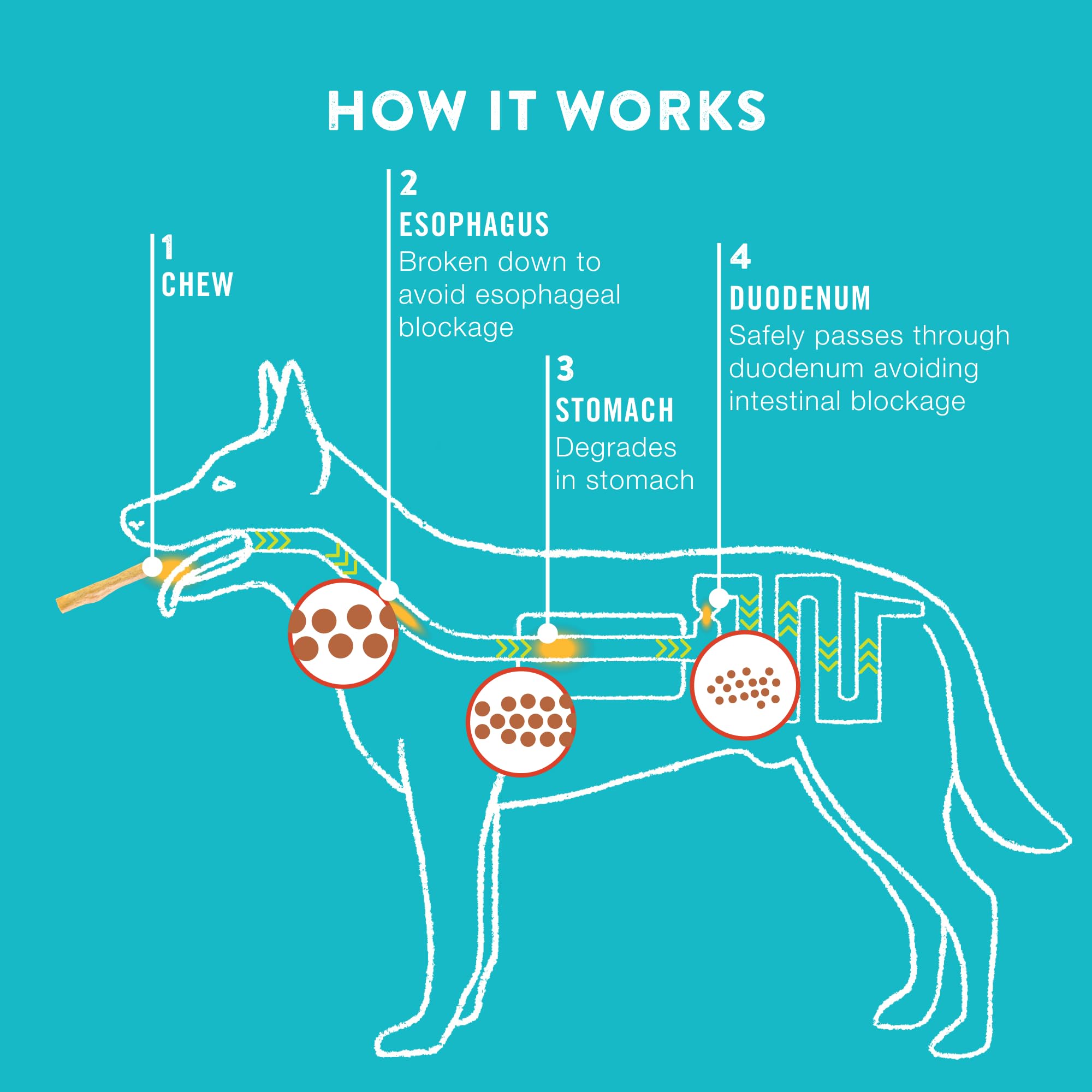 TRURANCH rouleaux collagène chien-dent-hygiene: contribue à une bouche plus fraîche.