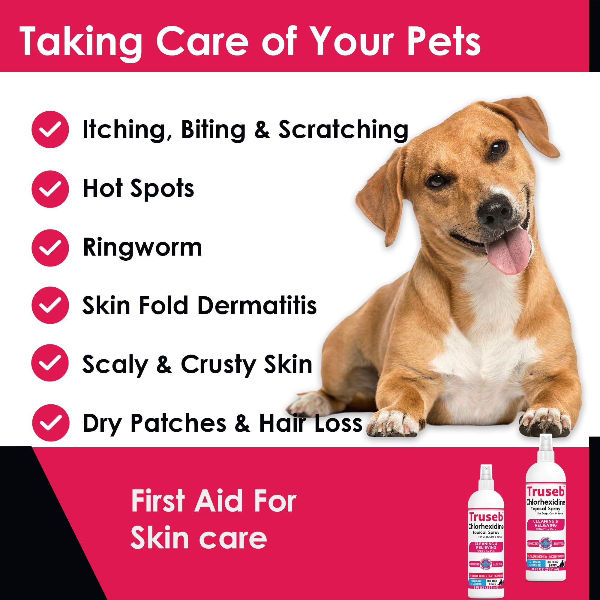 Pelage et peau du chat soignés avec Truseb chlorhexidine.