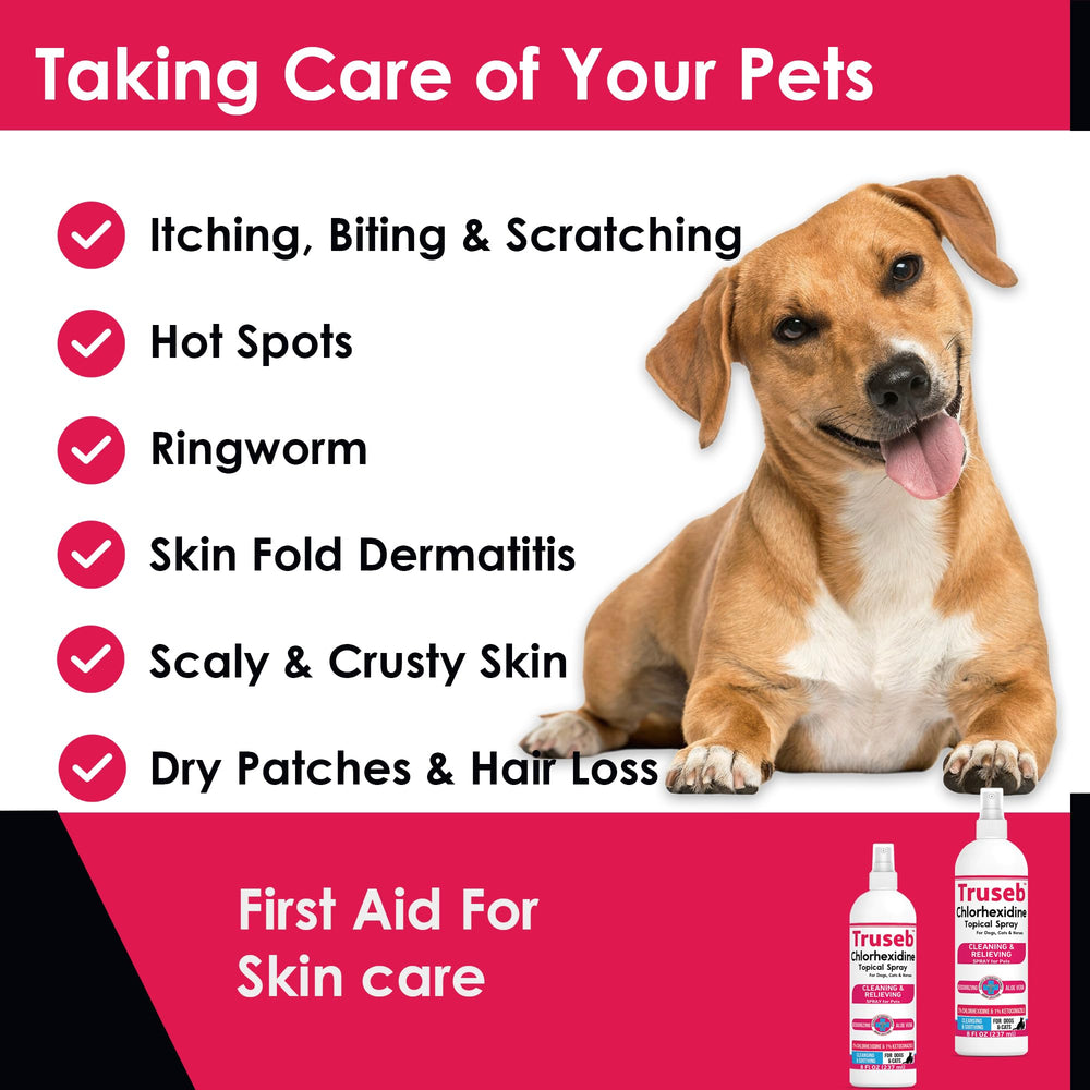 Pelage et peau du chat soignés avec Truseb chlorhexidine.