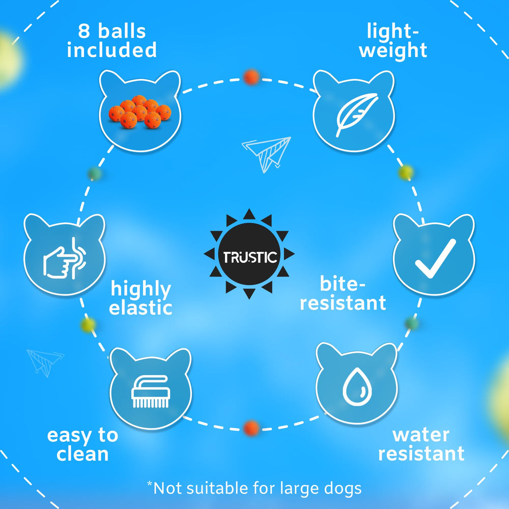 Trustic Balls pour fetch et exercice interactif à la maison.