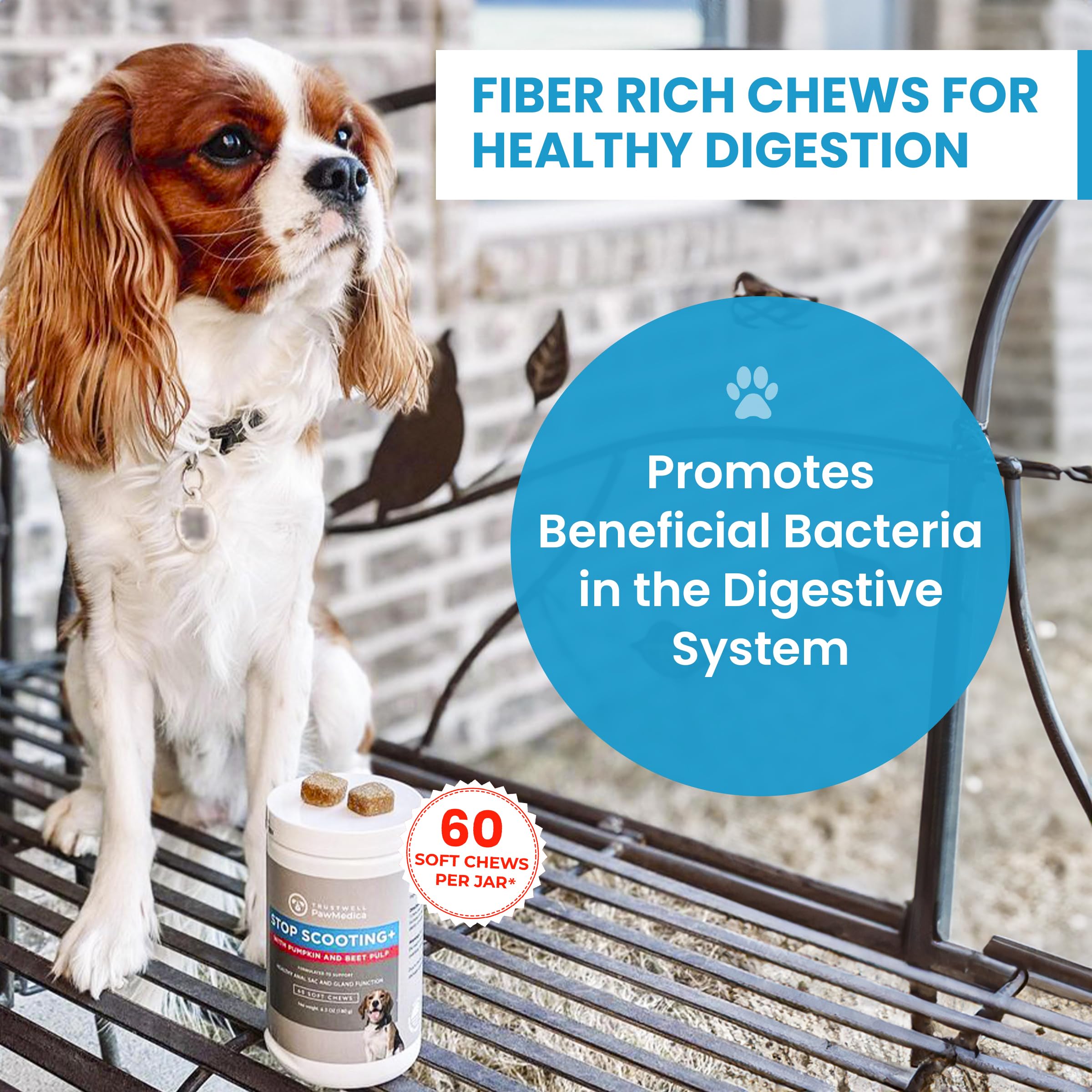 Trustwell PawMedica – fibres-naturelles : soutien des selles des chiens.