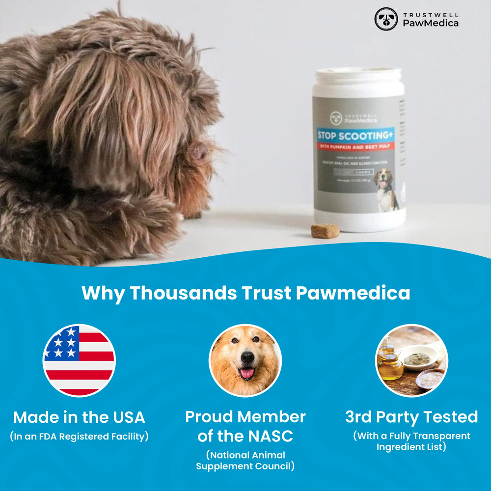 PawMedica Trustwell : friandises fibres pour chiens, faciles et savoureuses.