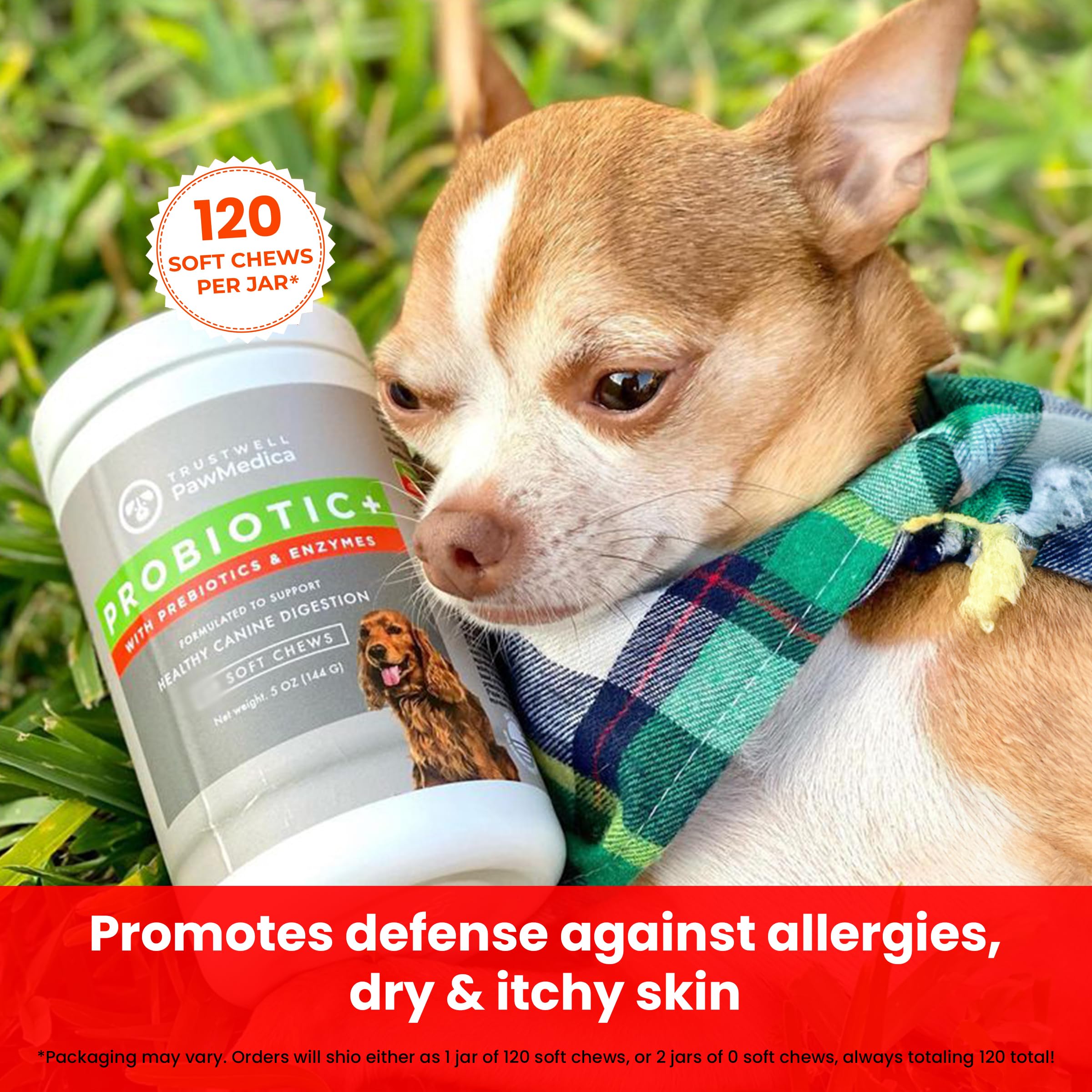 Prébiotiques PawMedica inclus dans les bouchées pour soutien digestif.