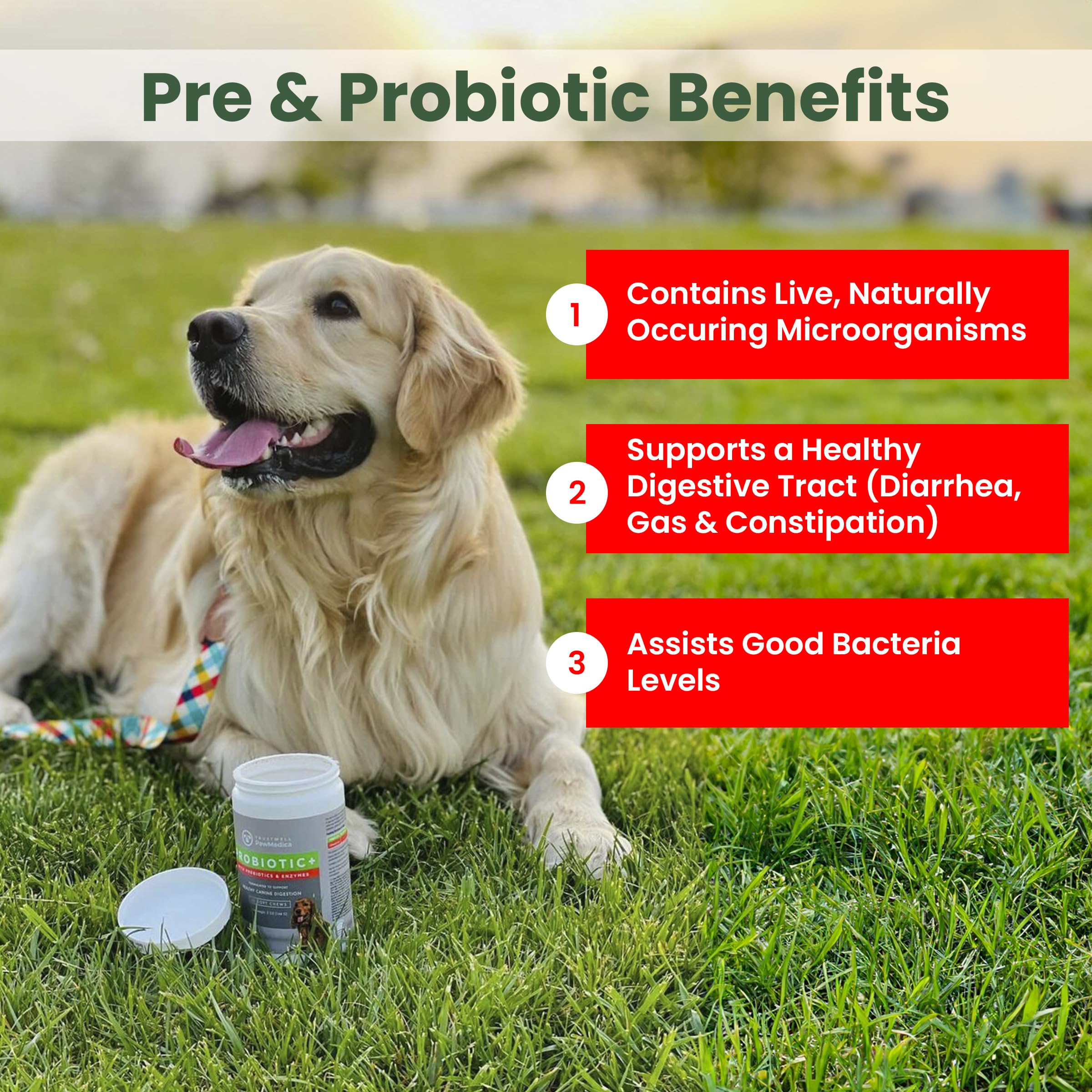 Probiotiques PawMedica pour chien favorisant une digestion équilibrée.