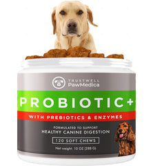 Bouchées PawMedica pour chien: goût approuvé et faciles à mâcher.