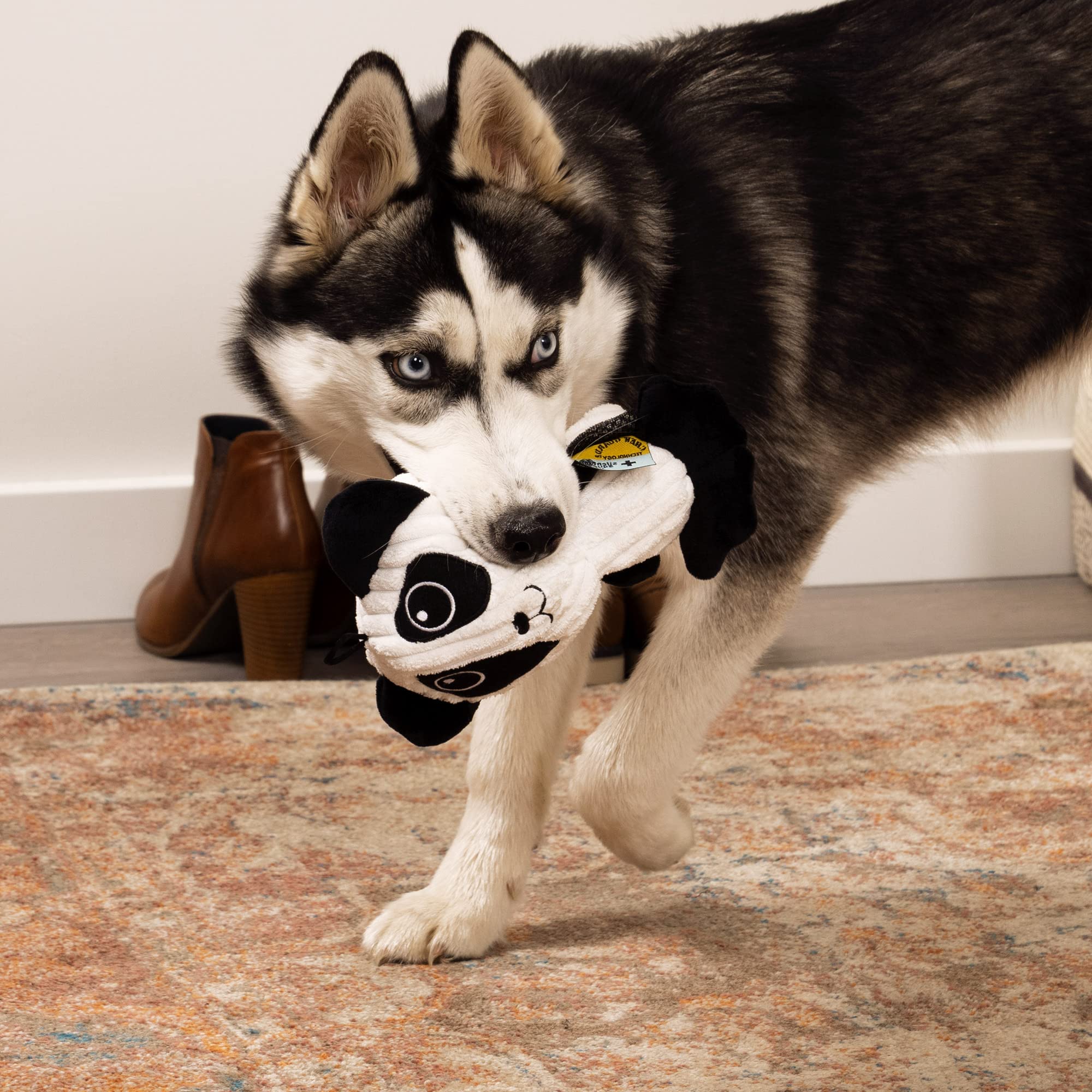 TrustyPup Panda, sifflet ultrasonique inaudible pour l’humain.