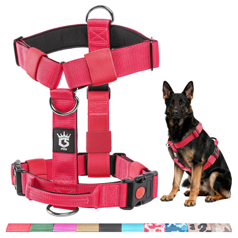 Harnais TSPRO sans traction pour promenades calmes et efficaces