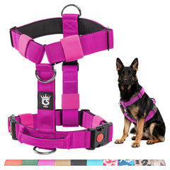 Harnais TSPRO chien sans traction pour promenades plus calmes