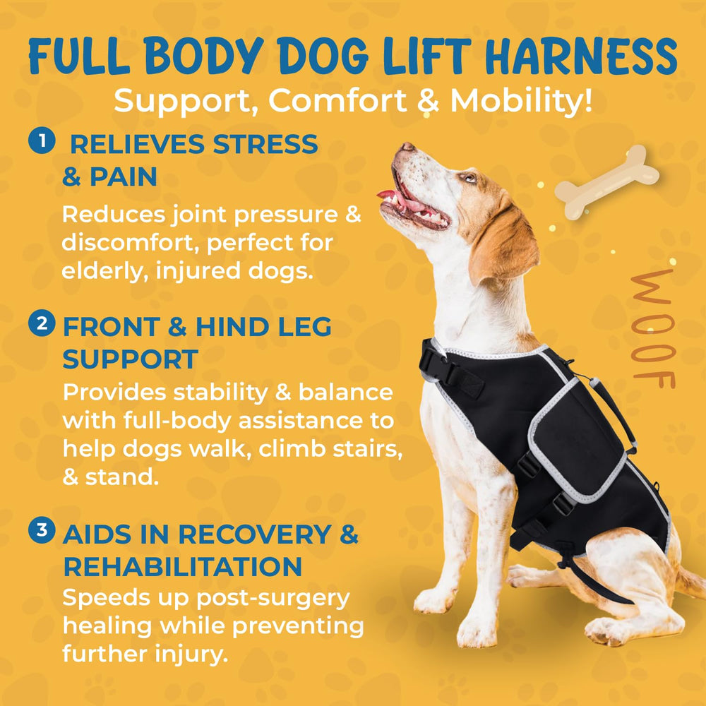Harnais TSSEXU sangle lift – levage sûr et confortable.