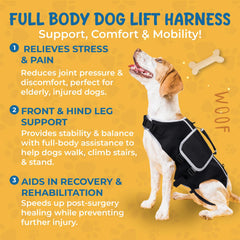 TSSEXU sangles quatre-pointes harnais chien, maintien personnalisé et sûr.