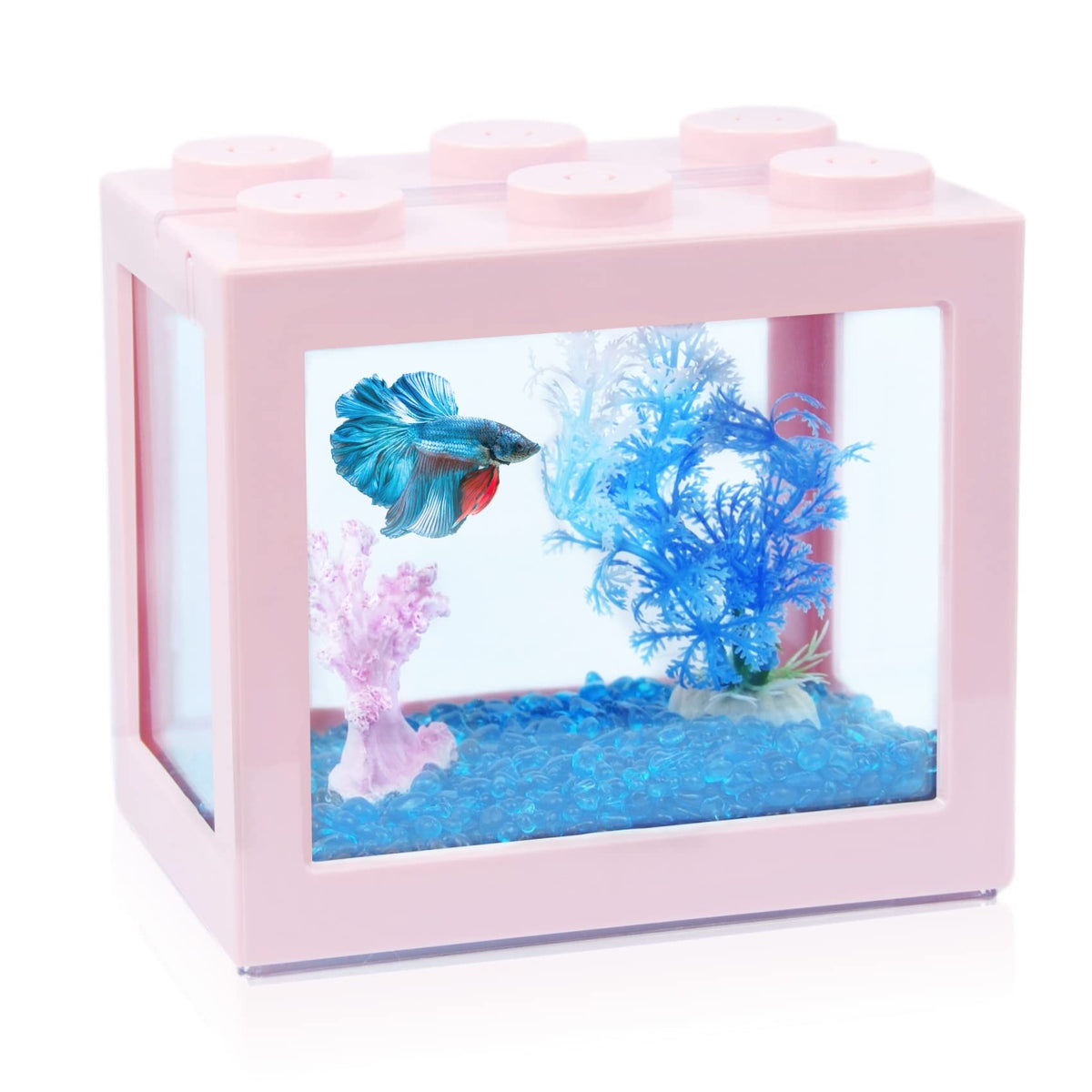 Tsxurepaw cube-empilable offrant une vue claire pour observer poissons et plantes.