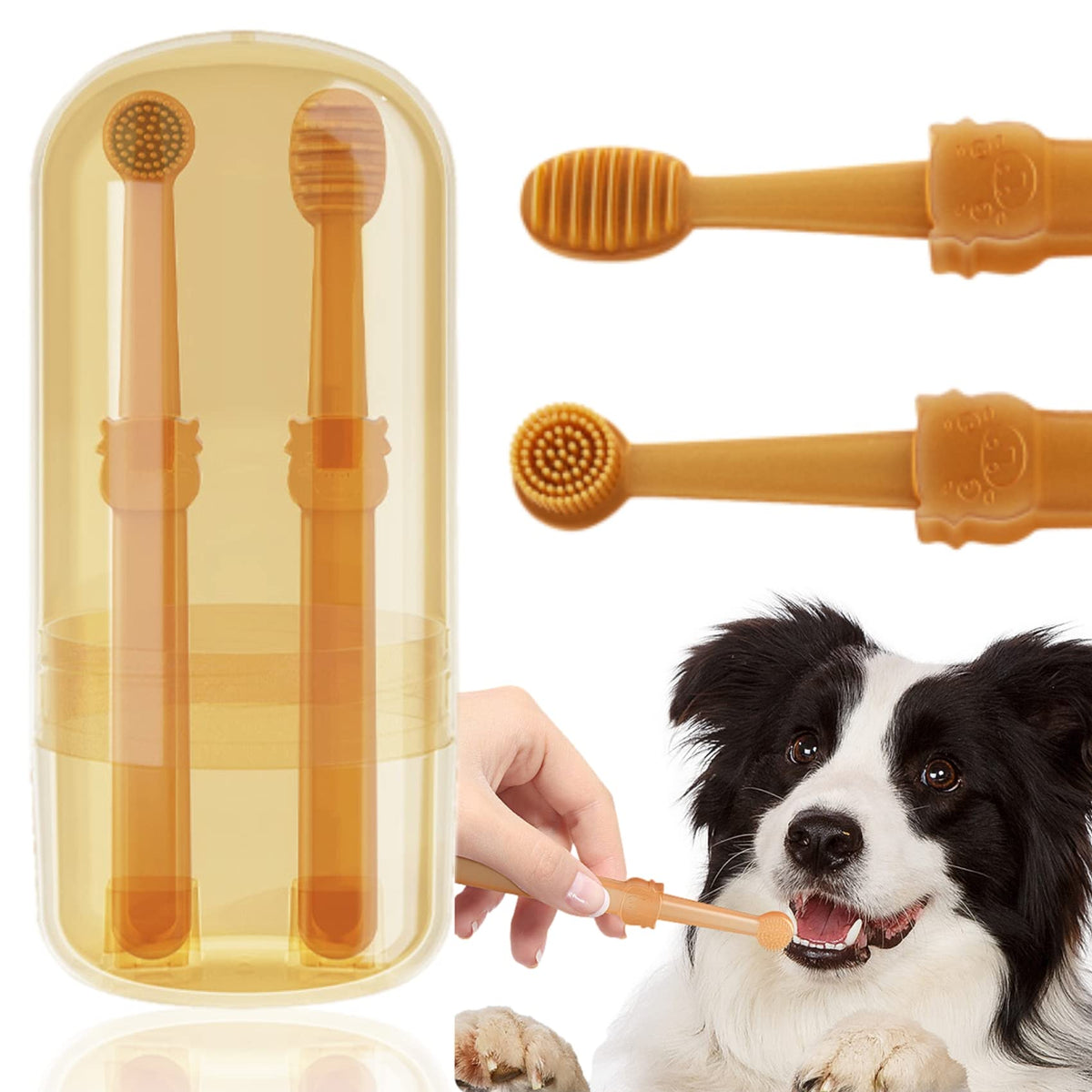 Tsxurepaw kit dentaires chat-chien 360: ensemble pratique pour l'hygiène buccale.