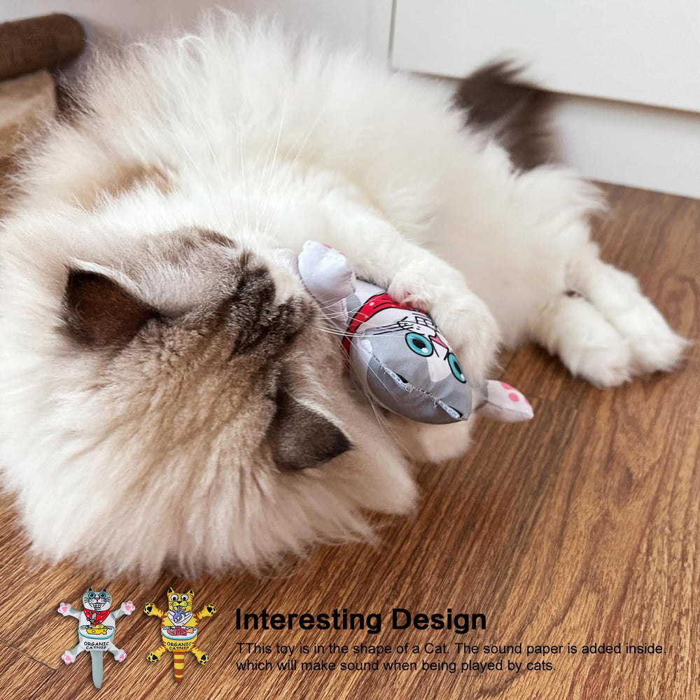 TTcat design-chat sûr et ludique pour le jeu quotidien