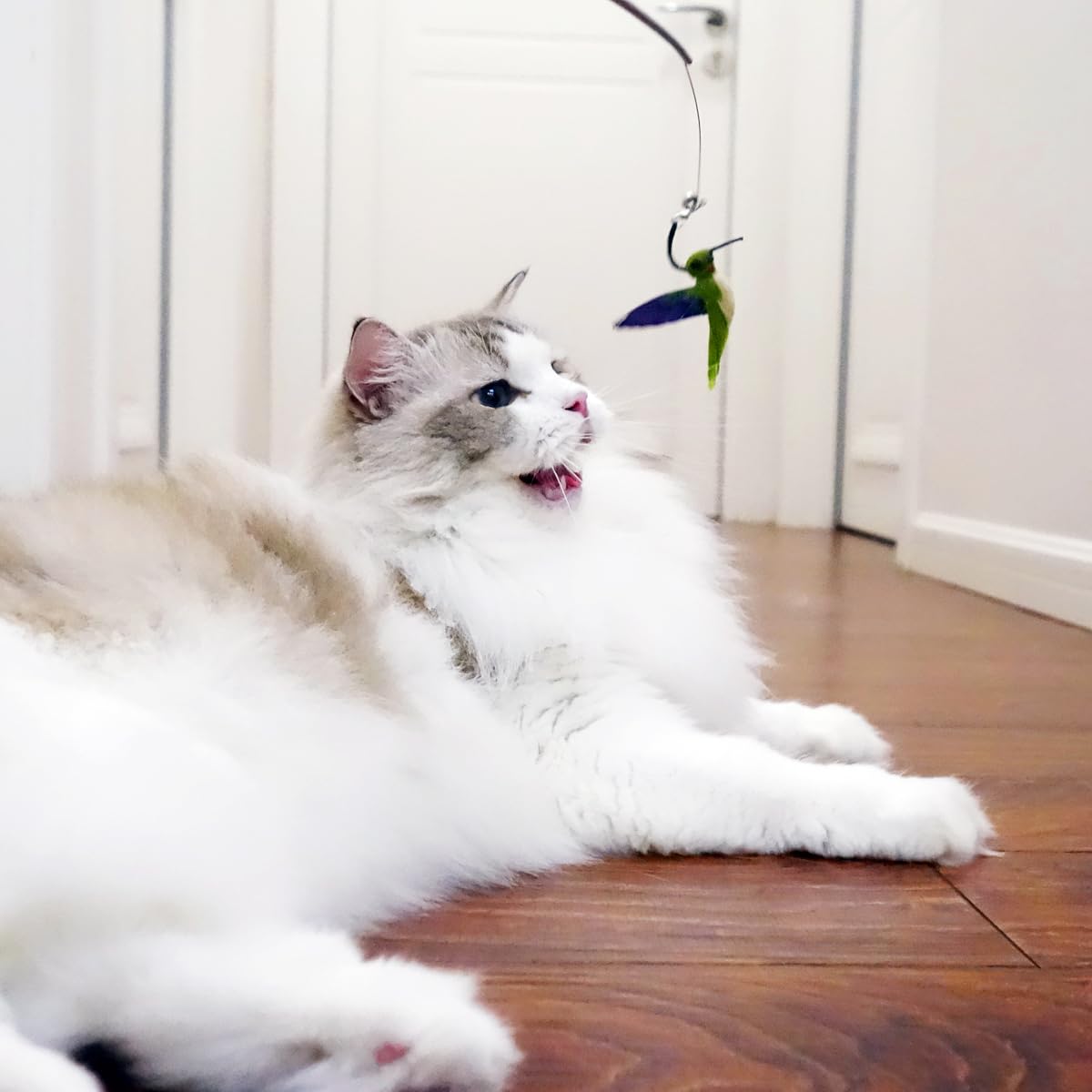 TTcat ensemble de 3 plumes – recharges pratiques pour balai chat