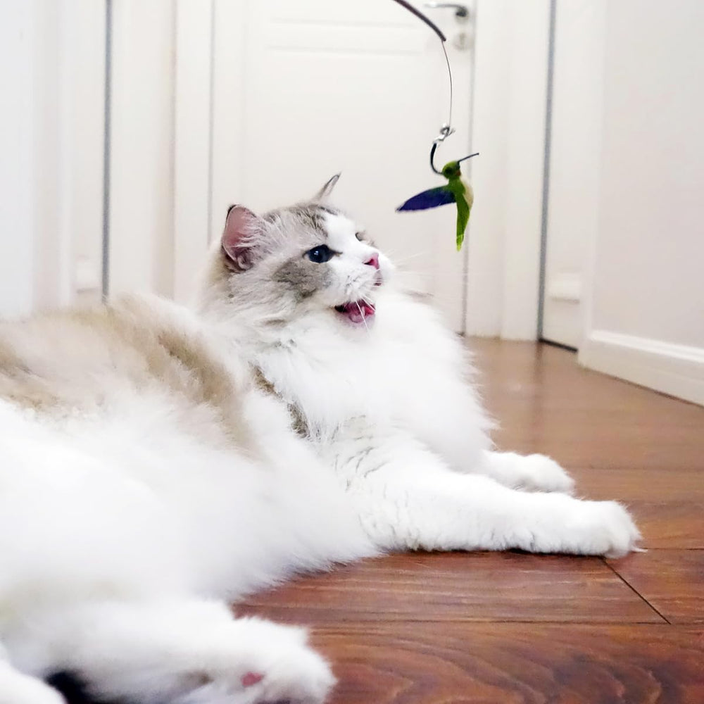 TTcat ensemble de 3 plumes – recharges pratiques pour balai chat