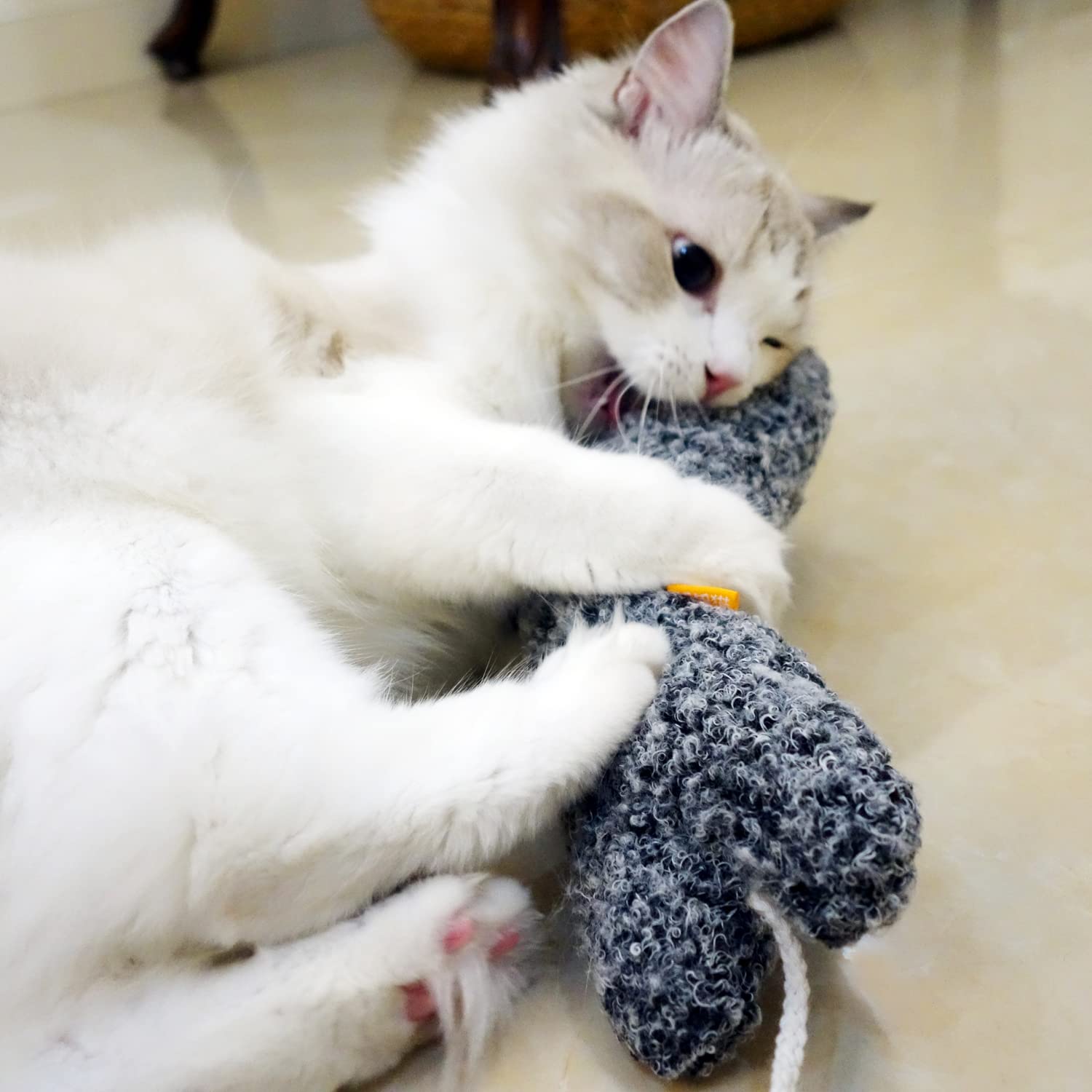 TTcat grand coussin-chat, convient aux chats adultes et chatons pour s’amuser.