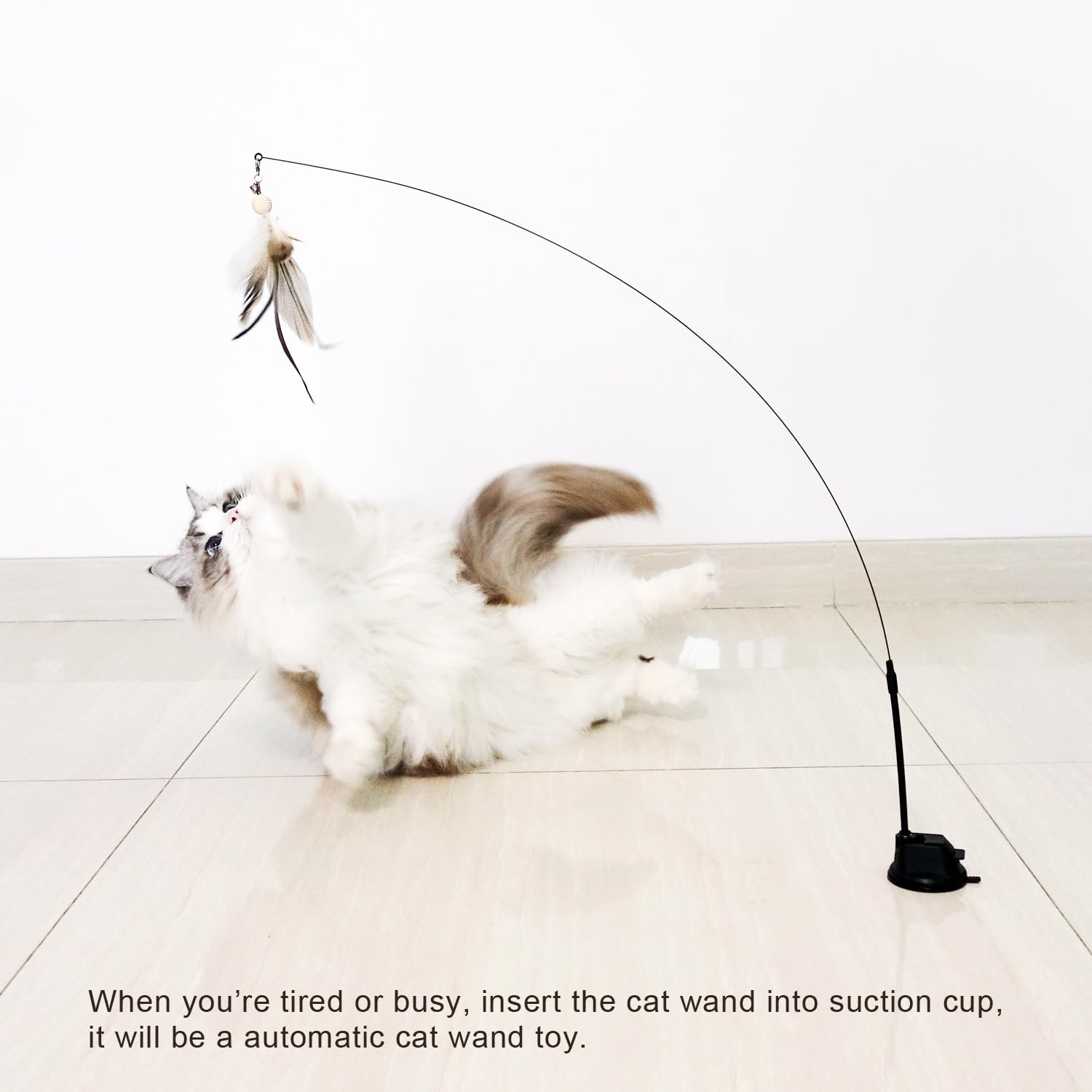 Utilisation intérieur TTcat, idéal pour exercices et amusement du chat.